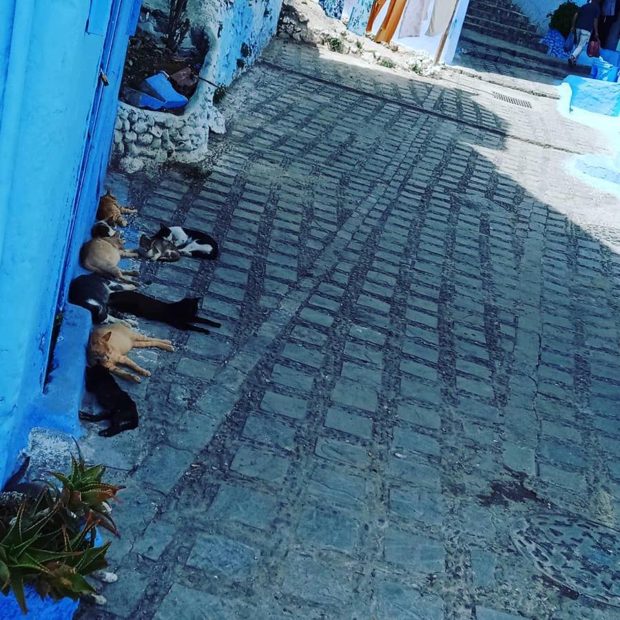 Casa Mablu Apartment Chefchaouen Ngoại thất bức ảnh